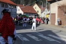 2017 Rosenmontag Egesheim_23