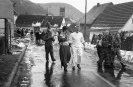 Fasnet vor 1985